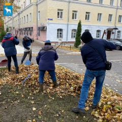 � ������-��� ������������ ������ �� �������� ����������