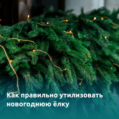 ��� ��������� ����������� ���������� ����: ������ � ������������