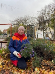 ���� ������ ������