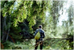 ���������� ��������� � ����