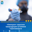 «Омикрон» заразнее предыдущих штаммов коронавируса