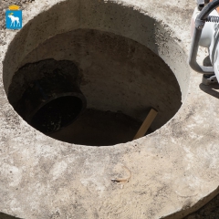 �� ����� ���������� ��������� �������� ������ �� ���������� ������� �������������