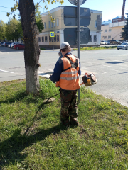 ��������-�������� � ������� �������