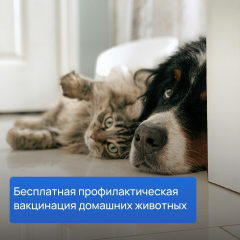 � ������-��� ������� ���������� ���������� ��������