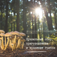 ���������� ��������� �� �������