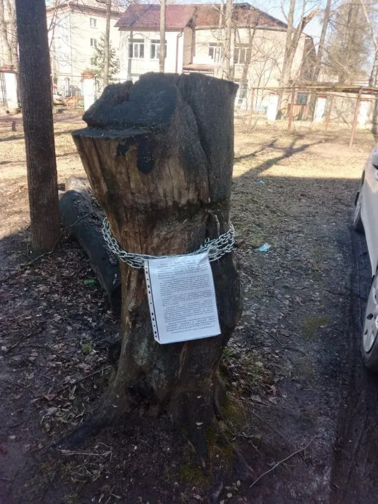 share-photo-16358514974.jpeg