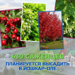 Йошкар-Олу украсят более 630 молодых саженцев деревьев и кустарников. Об этом рассказал врио мэра Антон Трудинов Йошкар-Олу украсят более 630 молодых саженцев деревьев и кустарников. Об этом рассказал врио мэра Антон Трудинов