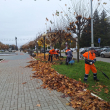 В столице продолжается масштабная операция «Листопад»  В столице продолжается масштабная операция «Листопад»